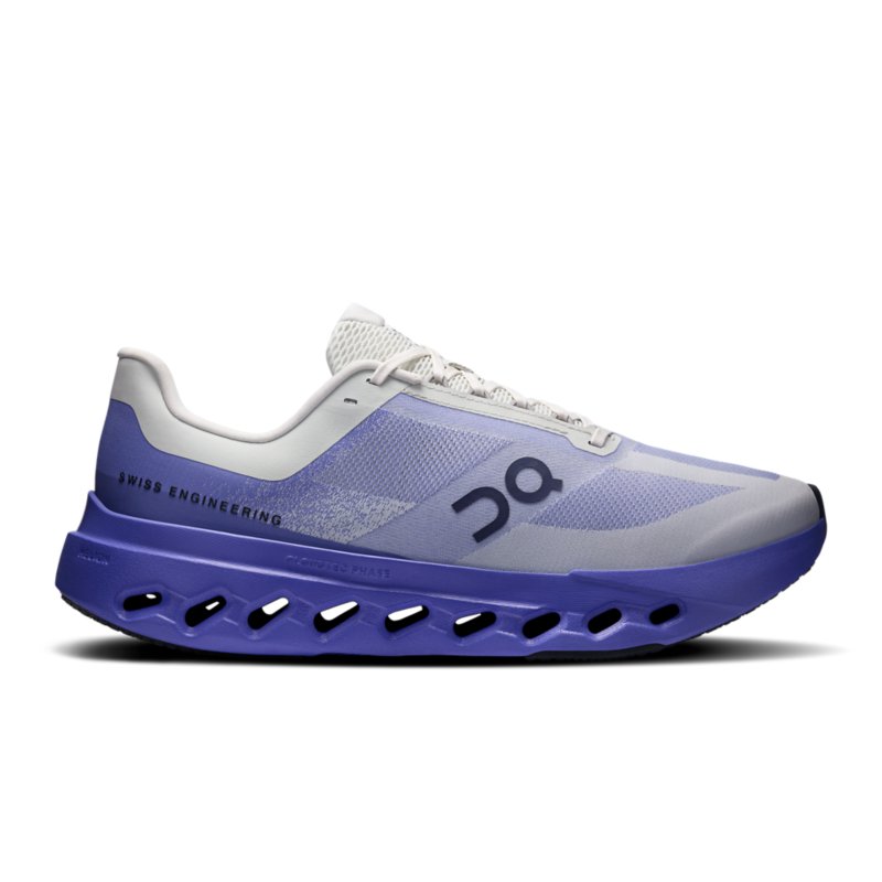ON RUNNING Chaussures de running homme CloudSurfer Next Bleu et gris