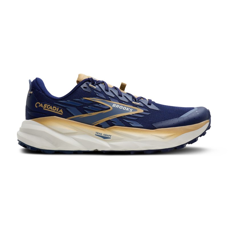 BROOKS Chaussures de trail homme Cascadia 19