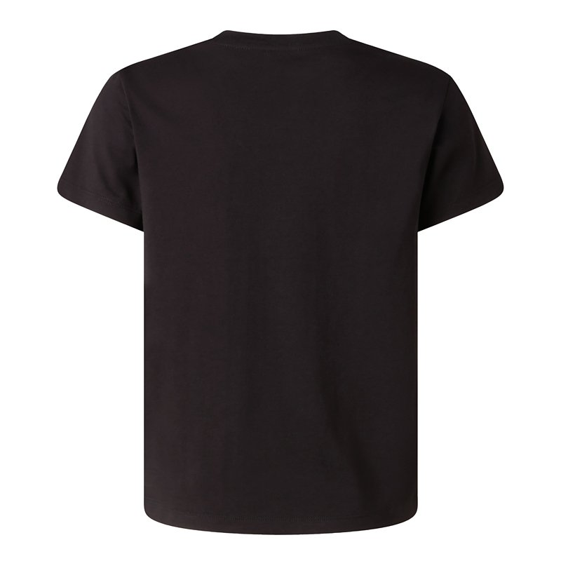 THE NORTH FACE Tee-shirt à manches courtes garçon Liquid Logo Noir