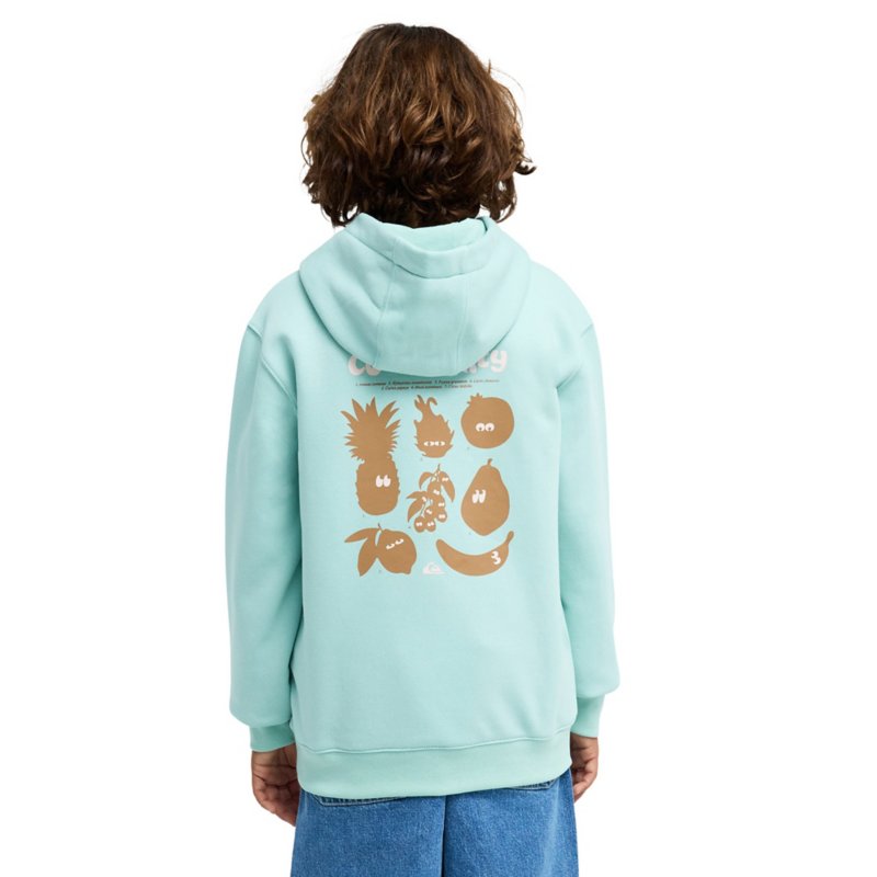 QUIKSILVER Sweatshirt à capuche garçon Graphic